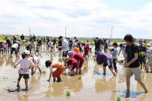 田植祭（都市農村交流事業）（平成30年度）