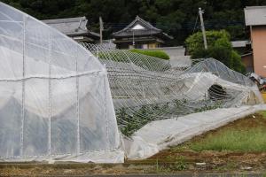 令和元年台風15号災害に対するふるさと応援寄附金ご報告01